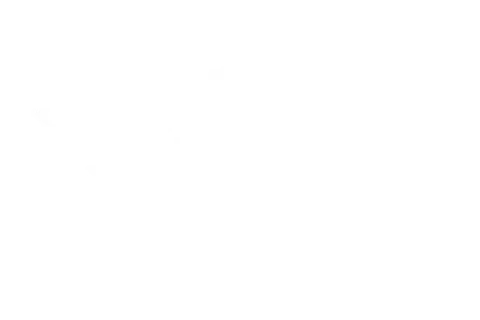 MINI image