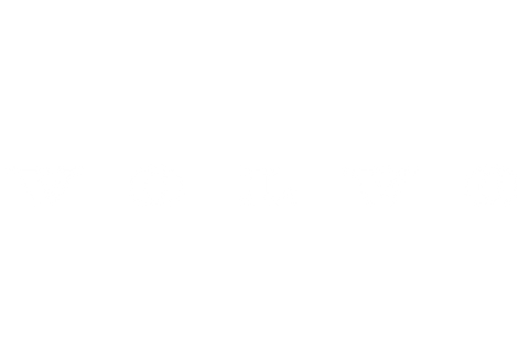 Volvo image