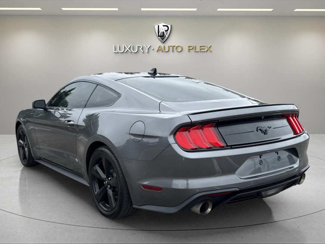 2021 Ford Mustang ECOBOOST 2D 6 SPEED MANUAL LOW 43,000 SHARP IMMACULATE - Image 3