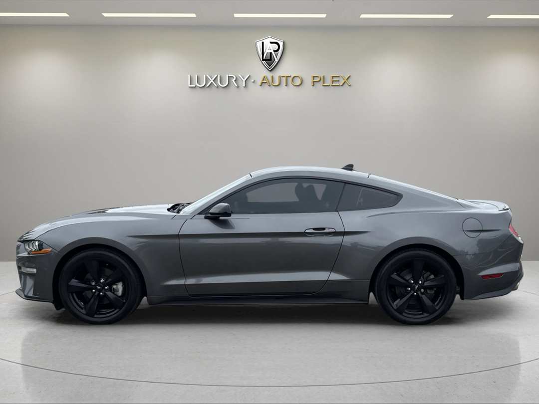 2021 Ford Mustang ECOBOOST 2D 6 SPEED MANUAL LOW 43,000 SHARP IMMACULATE - Image 2